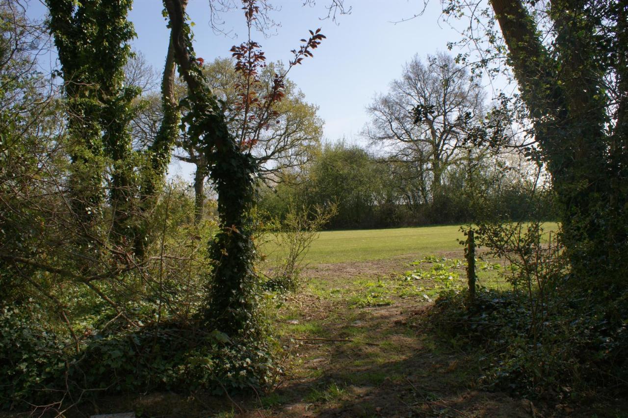 Spacious 4 Bed Family Cottage In Parkland Setting York Exterior photo